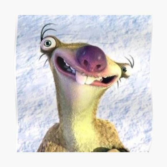 Meet your Posher, Hailey - Picture 1 of 1